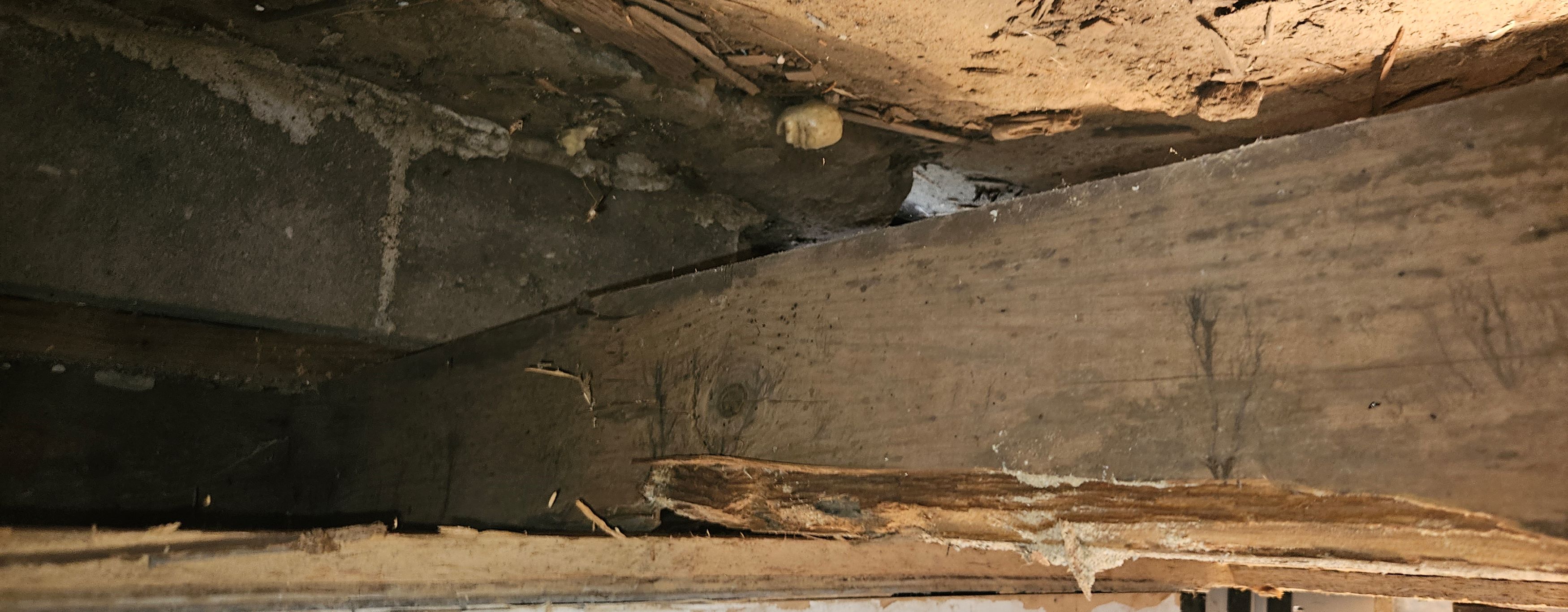 Allsbrook Restoration and Repair
